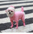 Full body dog raincoats with built in foot covers