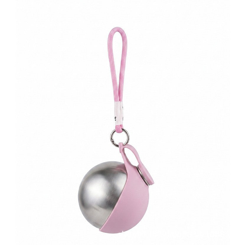 Foldable Stainless Steel Pet Travel Bowl with Hanging Hook