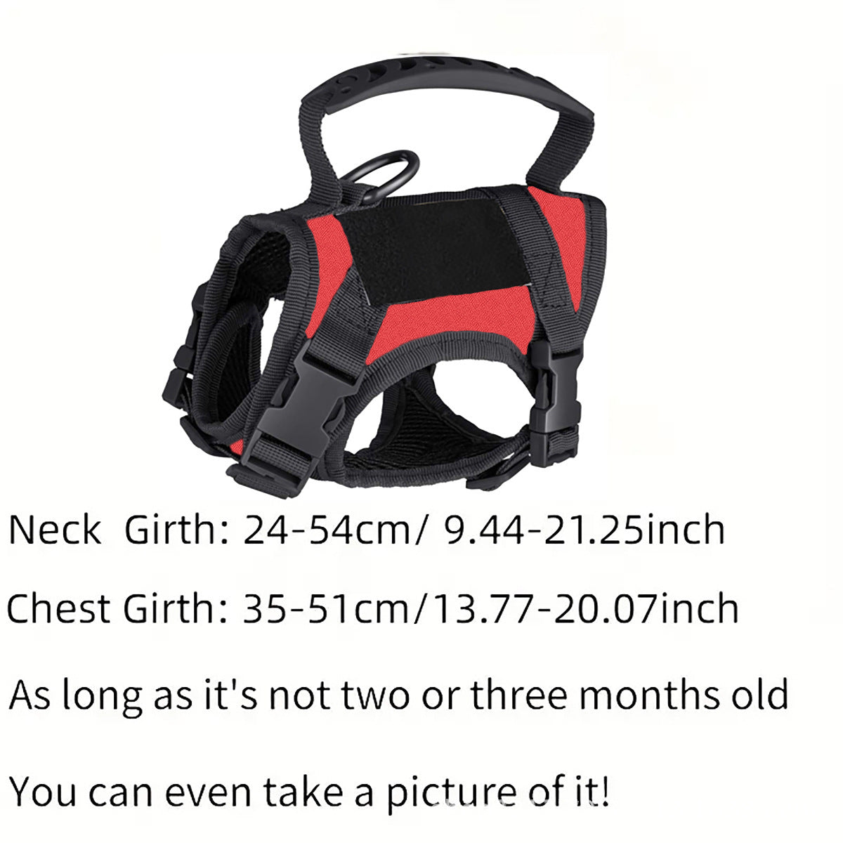 Black tactical cat harness with matching lead and embroidered patches