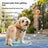 Smart pet locator collar with PU strap in black, product image 3