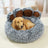 Bear Paw Pet Sofa Bed with Soft Long Plush for All Seasons