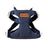 Denim harness and lead set with fun prints, ideal for everyday use