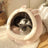 Semi-enclosed cat bed with cute animal design, shown in 3 colours and styles