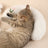 Lightweight U-shaped pet pillow pad with cotton filling, product image 7