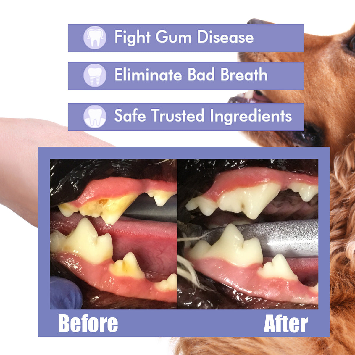 Teeth Cleaning Spray for Cats and Dogs, Fresh Breath Care