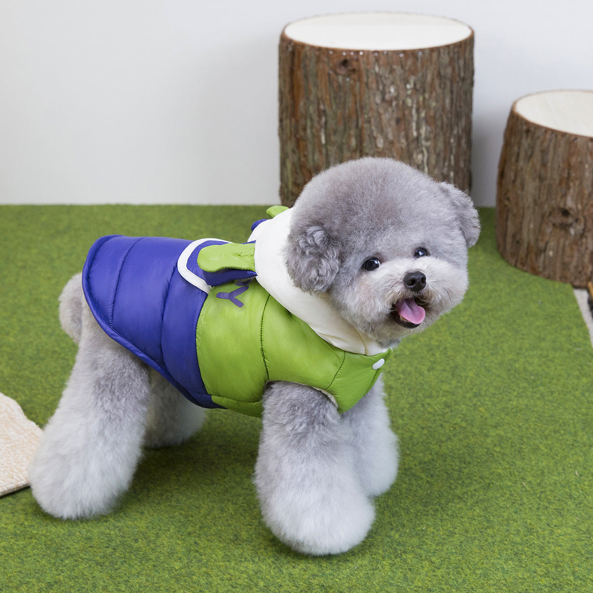 Hooded padded cotton dog coat, available in 2 colours, image 9