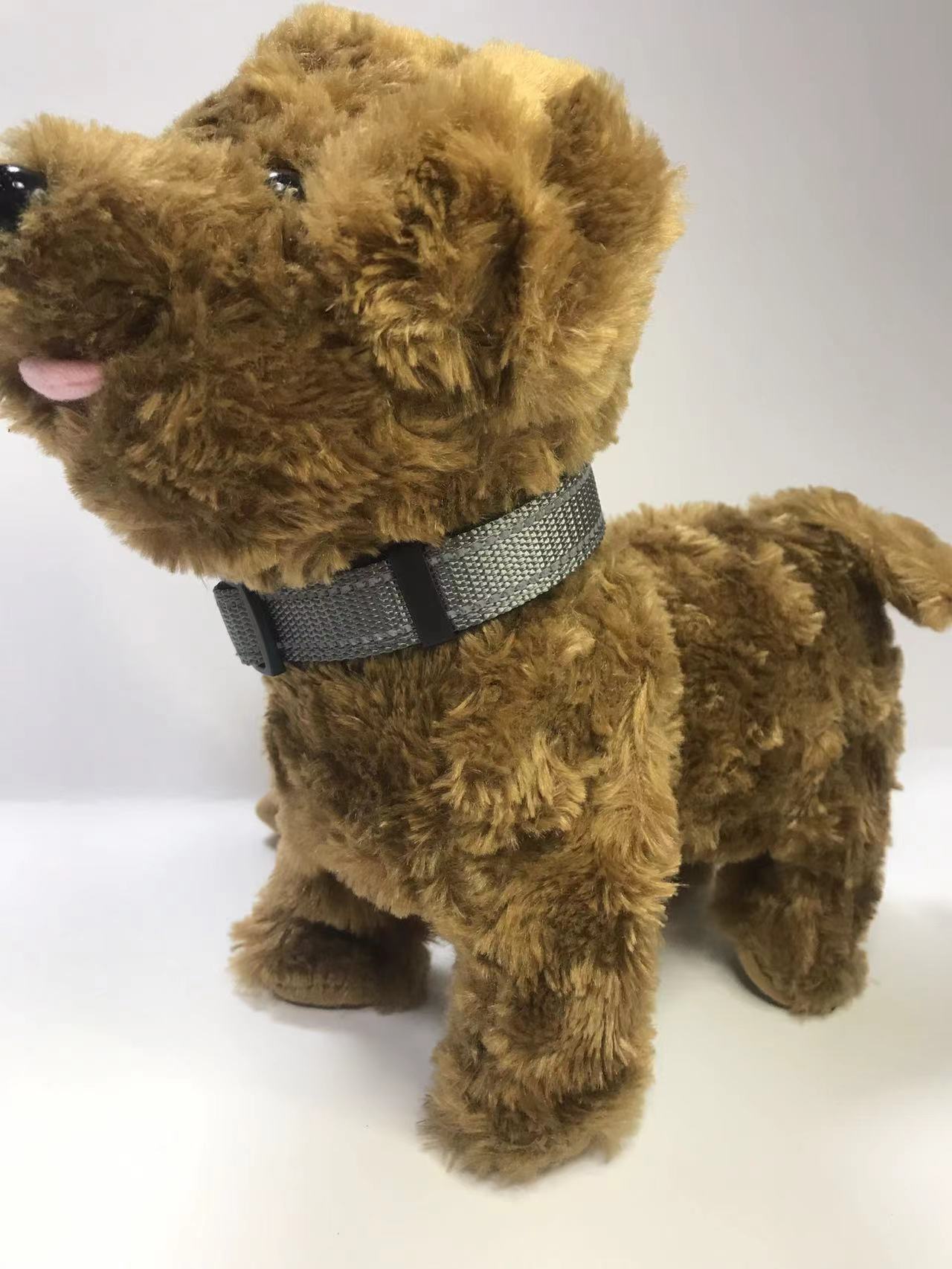 Adjustable buckle pet collar in bright colours for dogs, view 77