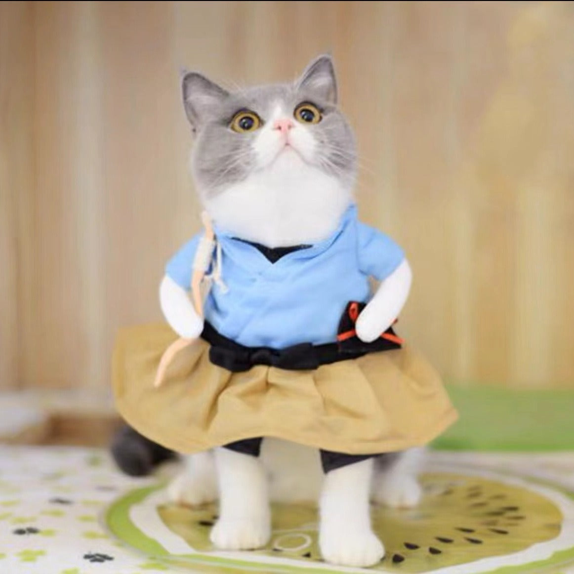 Funny character costume for small dogs, available in 7 styles, image 1