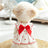 Heart print cotton dog dress, available in 5 colours, image 1