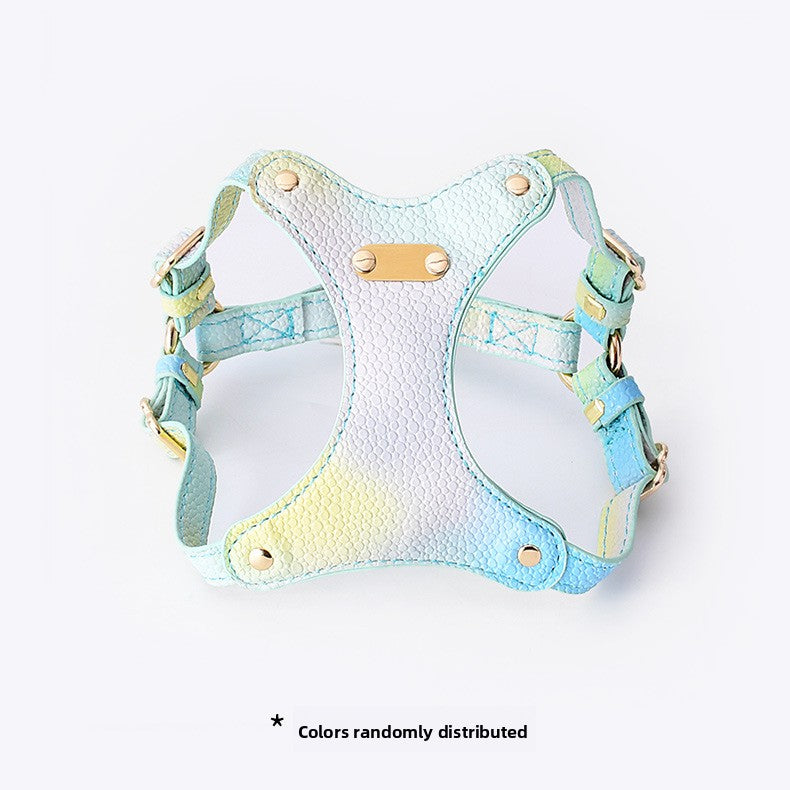 Colourful cat harness and lead set in purple and cloud blue