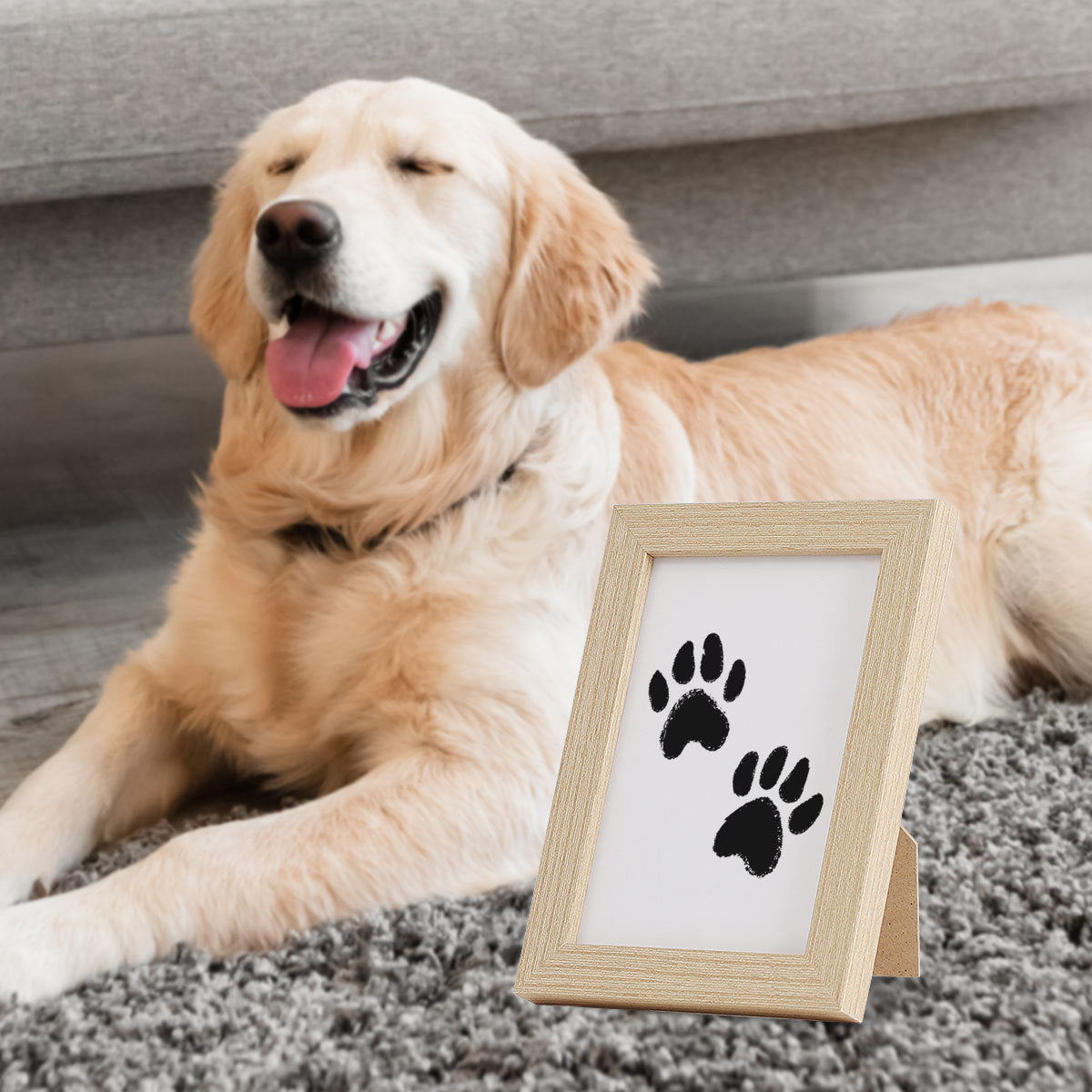 5 Inch Paw Print Frame Kit with Non-Toxic Ink Pad for Dogs and Cats