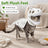 Dinosaur skeleton plush dog costume, available in 6 colours, sizes 90cm to 120cm, image 2