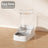 Automatic feeder and water dispenser