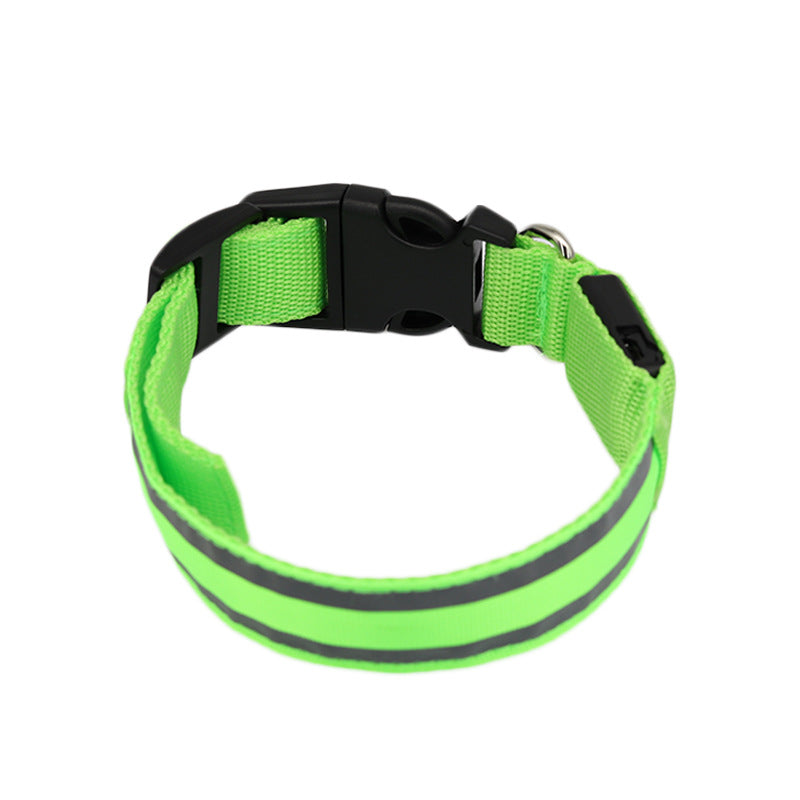 LED reflective dog collar glowing green on a night walk