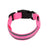 Light up dog collar with reflective strip glowing at night, product image 68