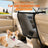 Car pet safety barrier net between the front seats