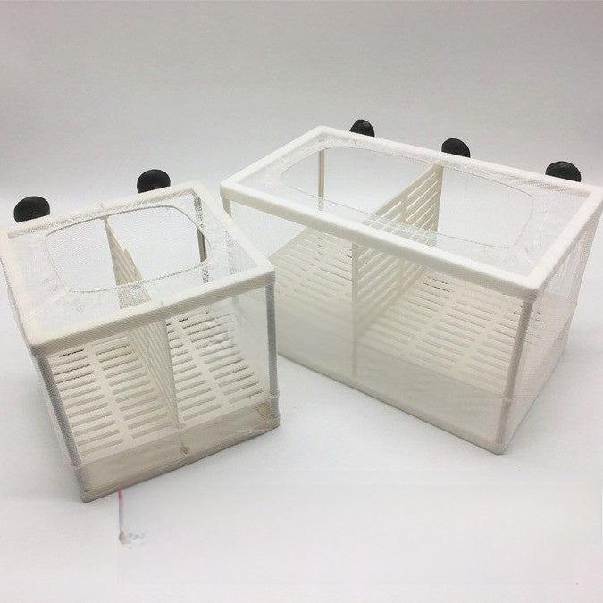 Mesh fish breeding isolation box with suction cups in aquarium, view 2