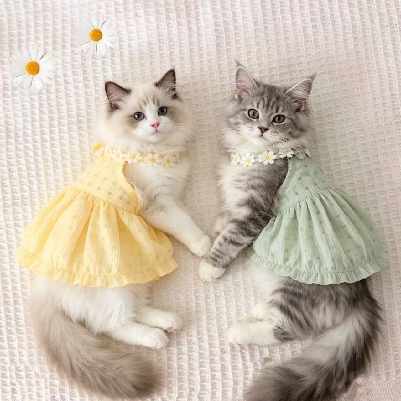 Light summer gradient dress for cats in breathable polyester, product image 1