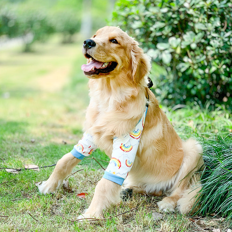 Padded elbow protectors on a large dog lying on a wooden floor