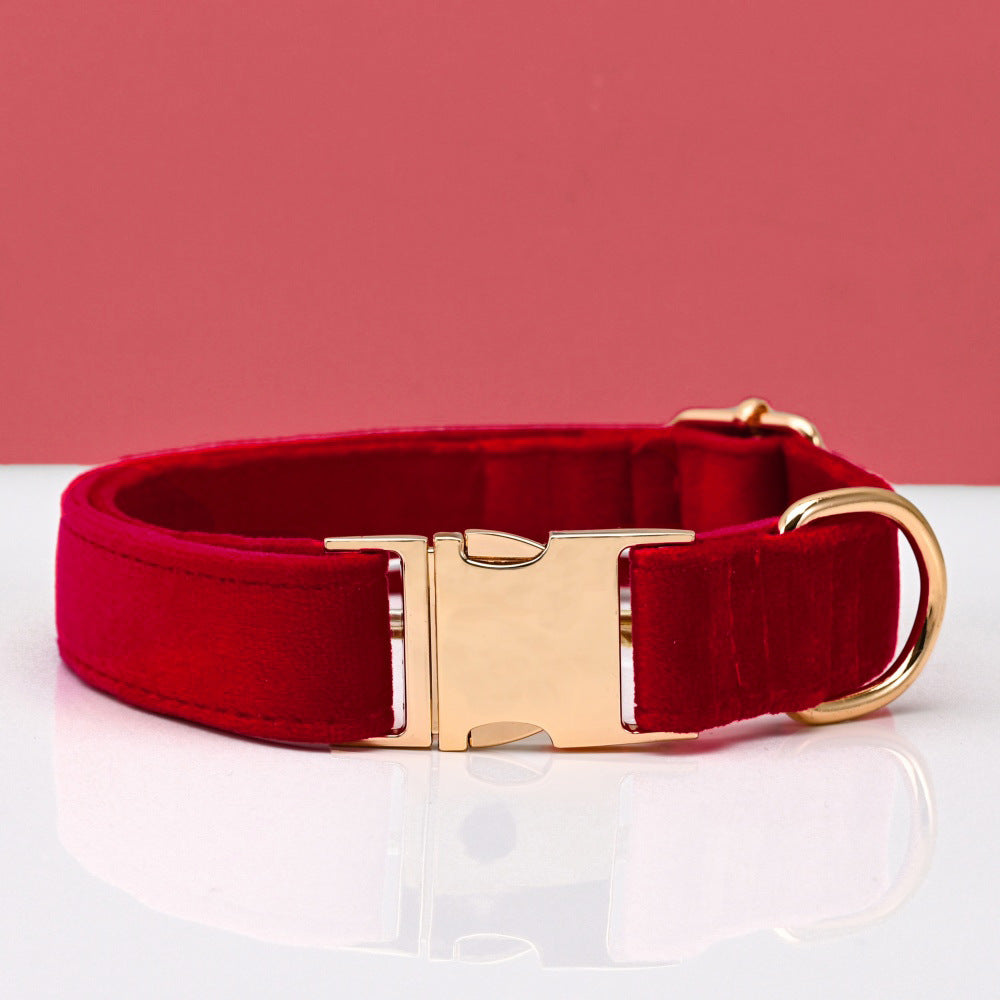 Soft velvet dog collar with metal buckle, available from Pet Royale UK