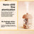 Portable USB Mini Humidifier for Reptile Terrariums, Cool Mist