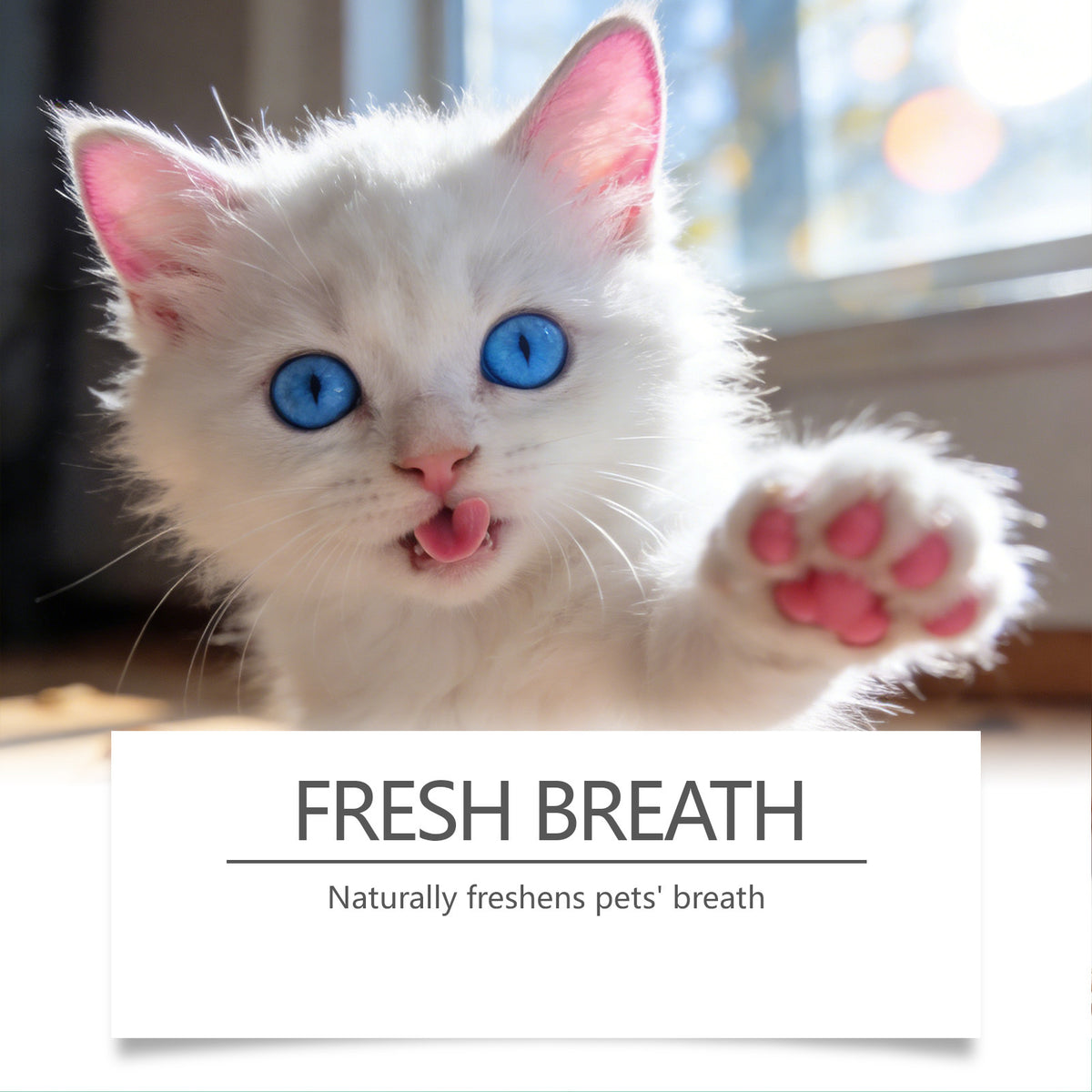 Dog Oral Spray for Fresh Breath, Plaque and Gum Care