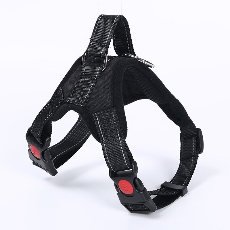 Breathable adjustable dog harness with reflective lead in Reflective Lead 1.2m x 2.5cm, front view