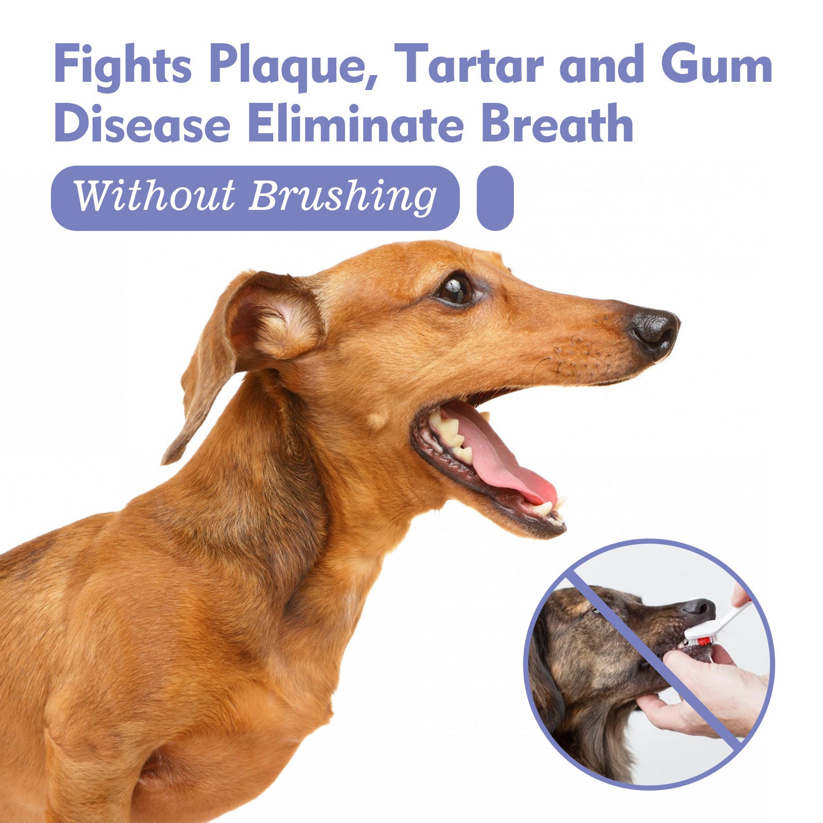 Teeth Cleaning Spray for Cats and Dogs, Fresh Breath Care