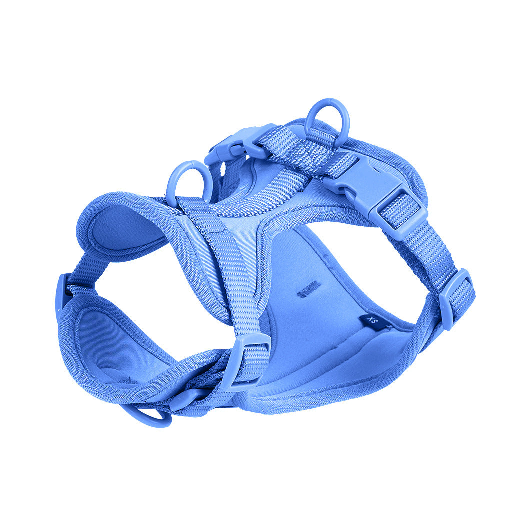 Wipe clean PVC dog collar and lead set shown in several colour options