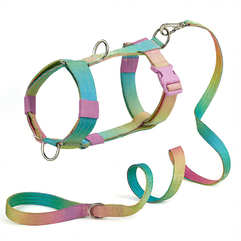Gradient colour no pull dog harness with matching lead