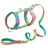 Gradient colour no pull dog harness with matching lead