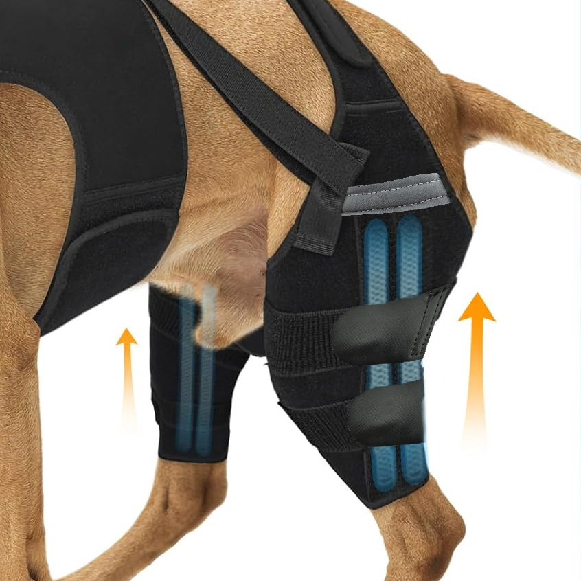 Black neoprene dog back support vest with leg straps, view 3