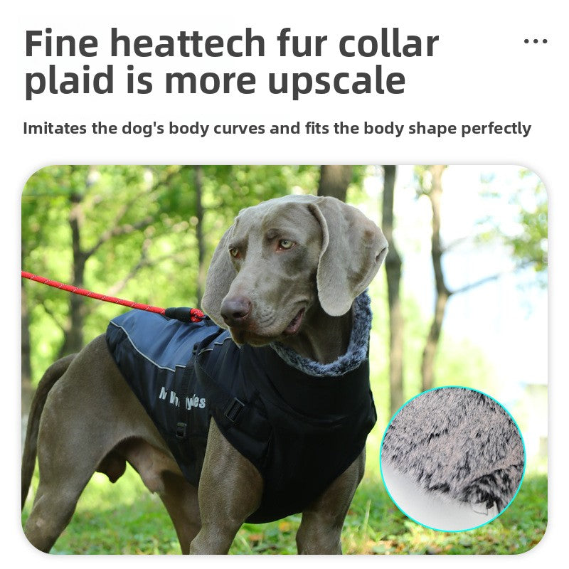 Windproof padded coat for large dogs, available in 5 colours, image 3