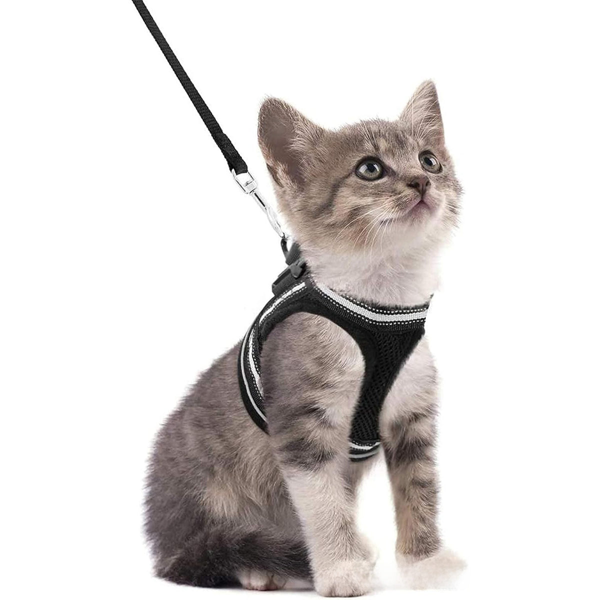 Escape-proof reflective harness and lead set, ideal for everyday use