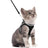 Escape-proof reflective harness and lead set, ideal for everyday use