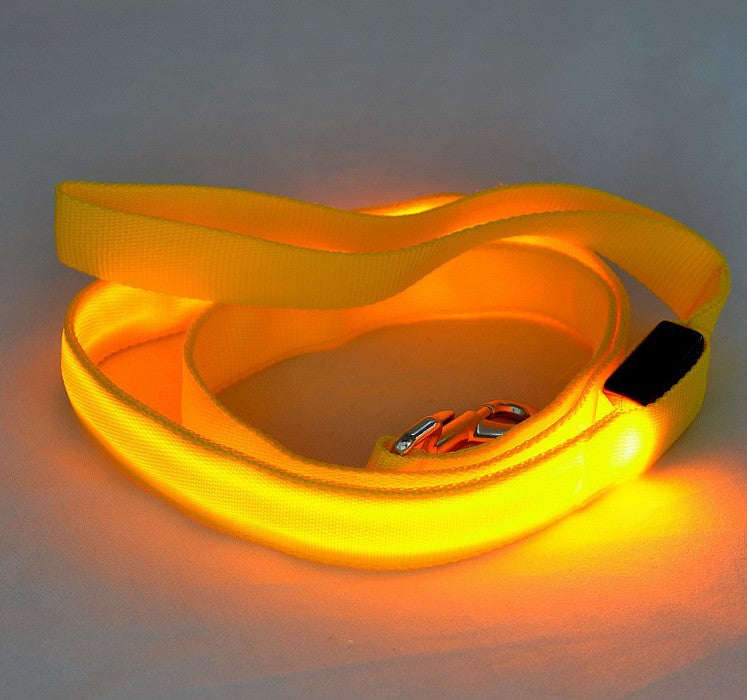 Light up nylon dog leads in eight glowing colours
