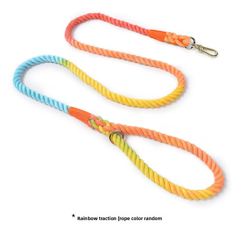 Woven rainbow dog lead with gold coloured clip