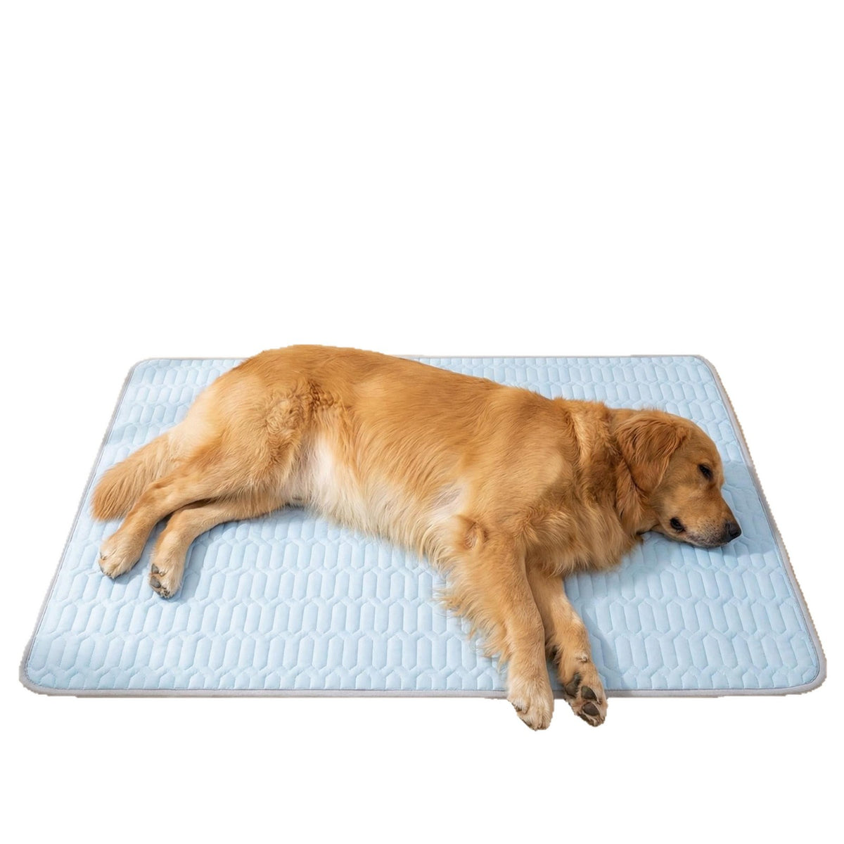 Dog resting on a checked blue cooling mat