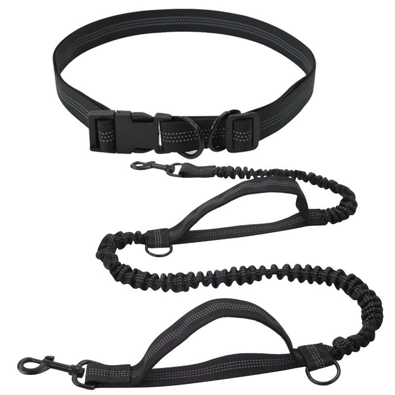 Hands-free dog running lead with waist belt, product photo