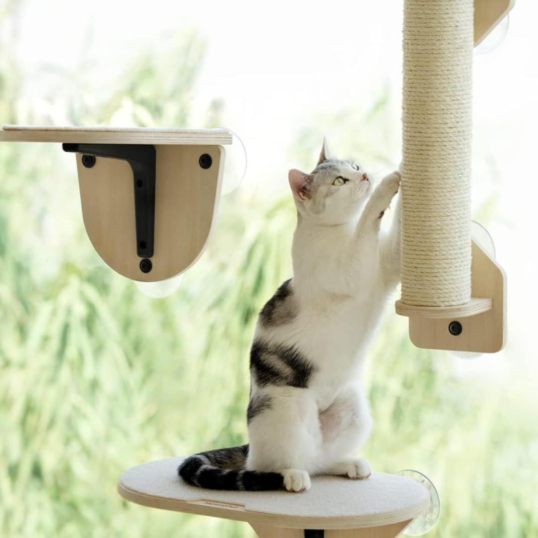 Suction cup wooden cat window platform, photo from another angle