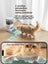 Smart Automatic Pet Feeder with Camera and AI Recognition