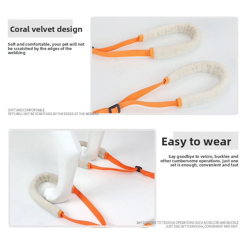 Soft lifting support belt in orange under a small dog