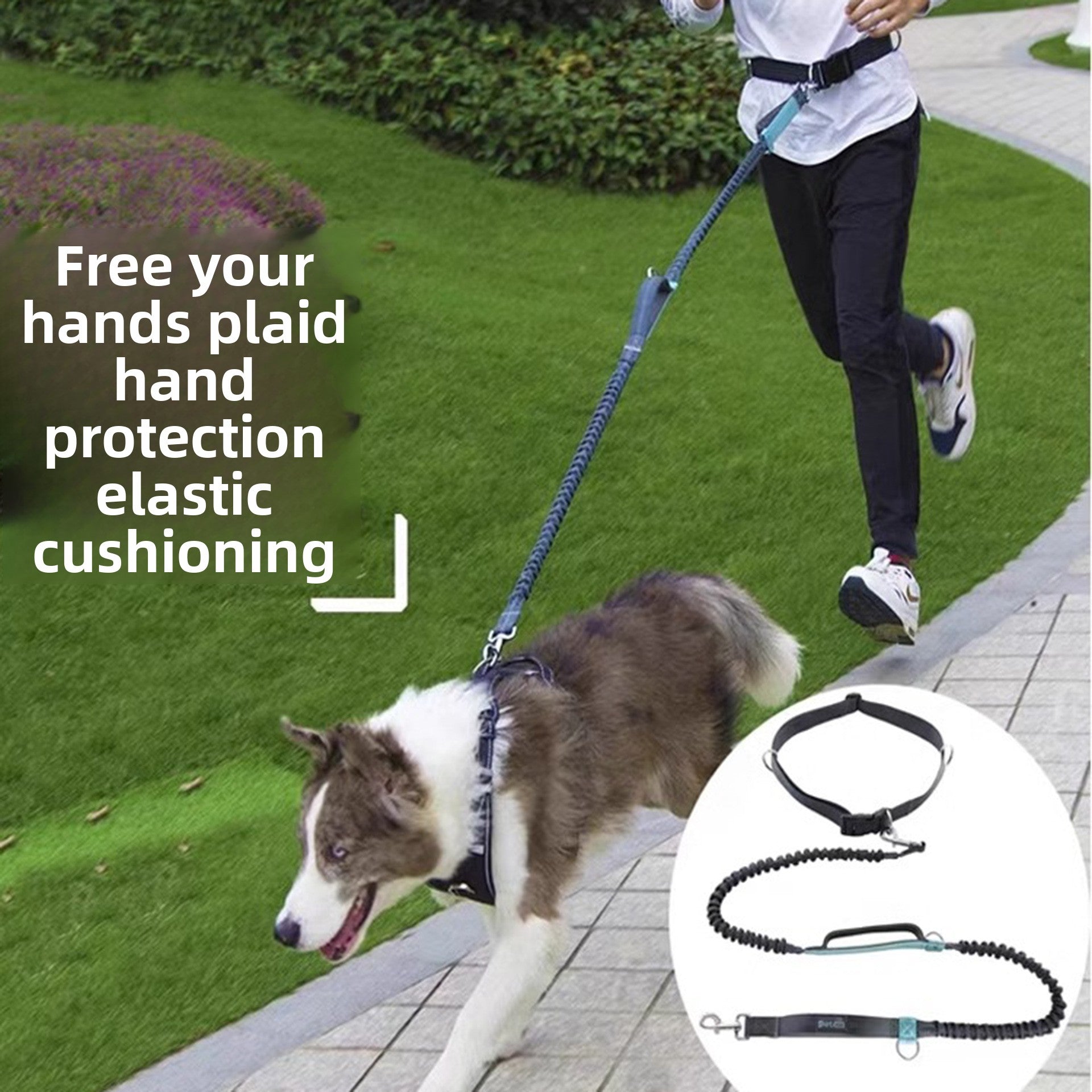 Extendable reflective nylon lead for dogs and cats, close-up detail view