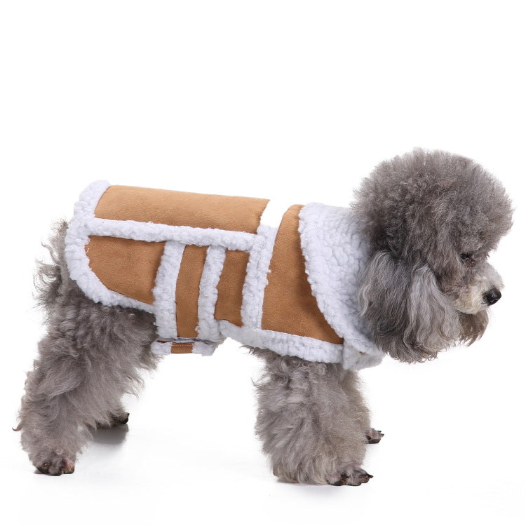Windproof hooded dog jacket with zip front in Dark Grey, top view