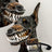 Latex dinosaur skull Halloween mask with movable teeth on a dog, view 2