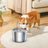 2.2L Stainless Steel Smart Pet Water Dispenser with Dual Filtration and Silent Pump