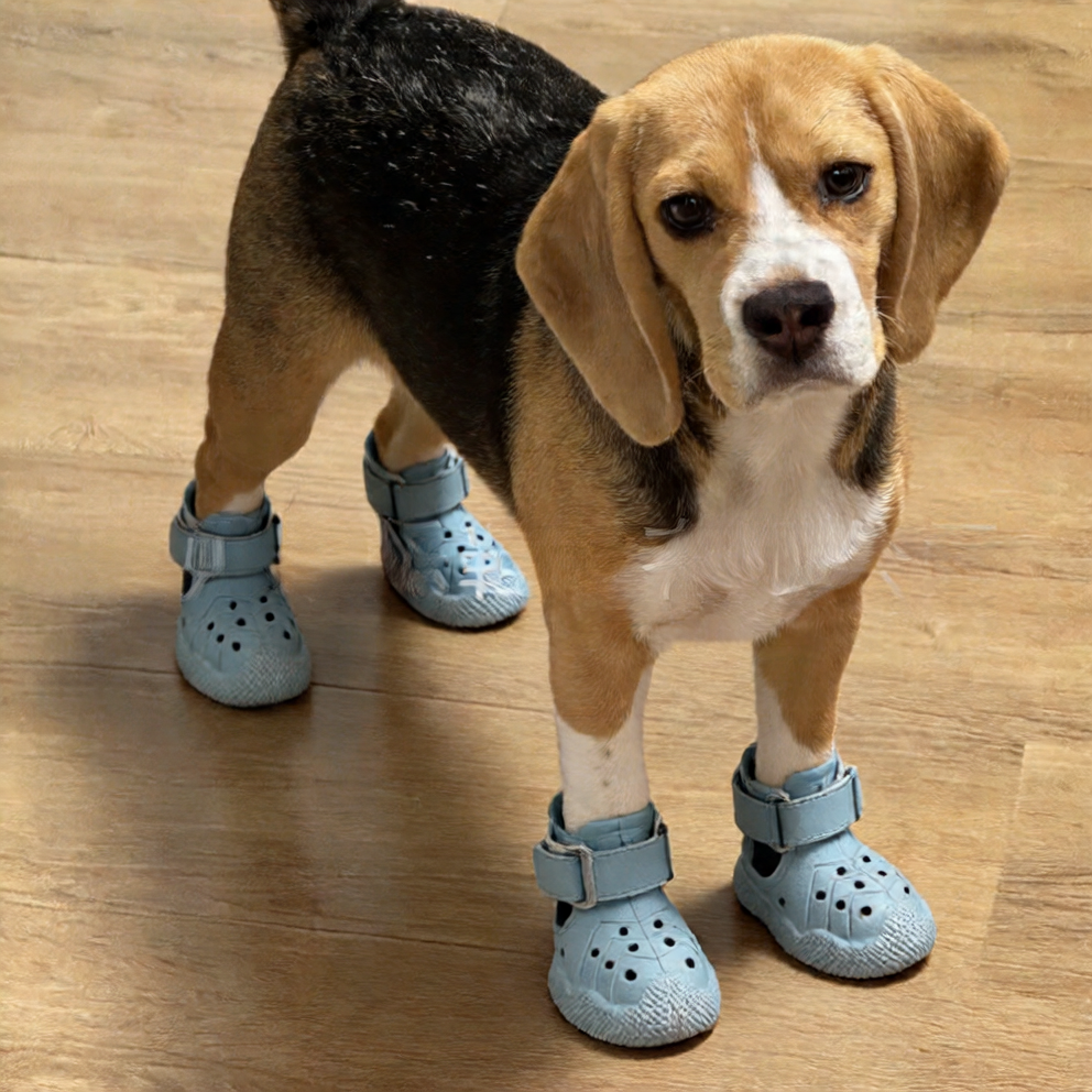 Lightweight waterproof EVA dog shoes, available in 4 colours, image 1