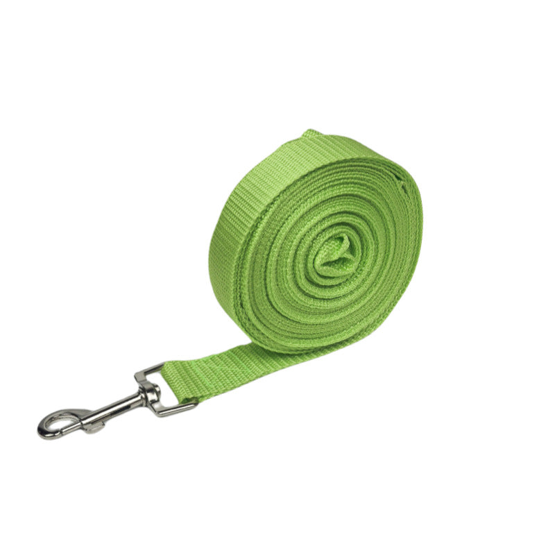 Long nylon dog training lead in red coiled on grass