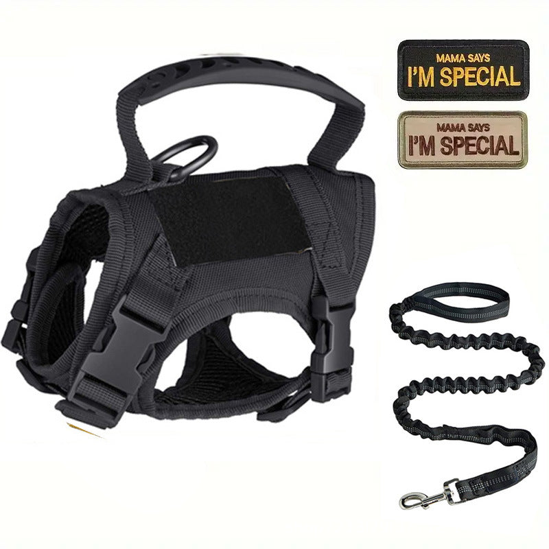 Black tactical cat harness with matching lead and embroidered patches