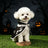 Black eagle feather print Halloween dog cape, in Black, sizes Small to 2XL, image 4